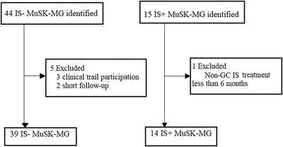 Long-Term Efficacy of Non-steroid Immunosuppressive Agents in Anti-Muscle-Specific Kinase Positive Myasthenia Gravis Patients: A Prospective Study